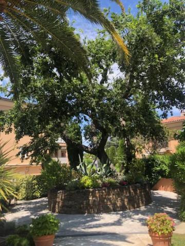Belle résidence au centre de Saint Tropez avec piscine et garage Esterno foto
